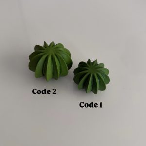 کاکتوس خط دار تپل