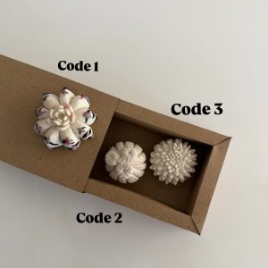 کاکتوس های متنوع 1 , 2 , 3