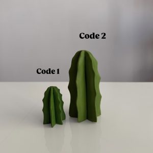 کاکتوس ایستاده 1 , 2
