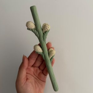 قالب قلمی کاکتوس