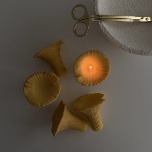 قارچ جنگلی