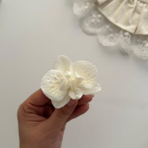 ارکیده پایه دار