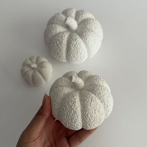 کدو طرح تدی