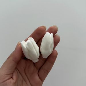 غنچه باز و بسته