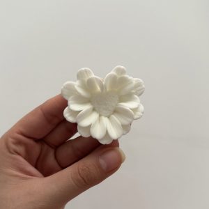 بابونه قلبی حجیم