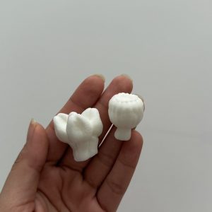 دو مدل غنچه باکس گل