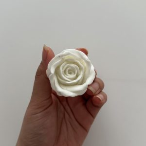 رز هلندی