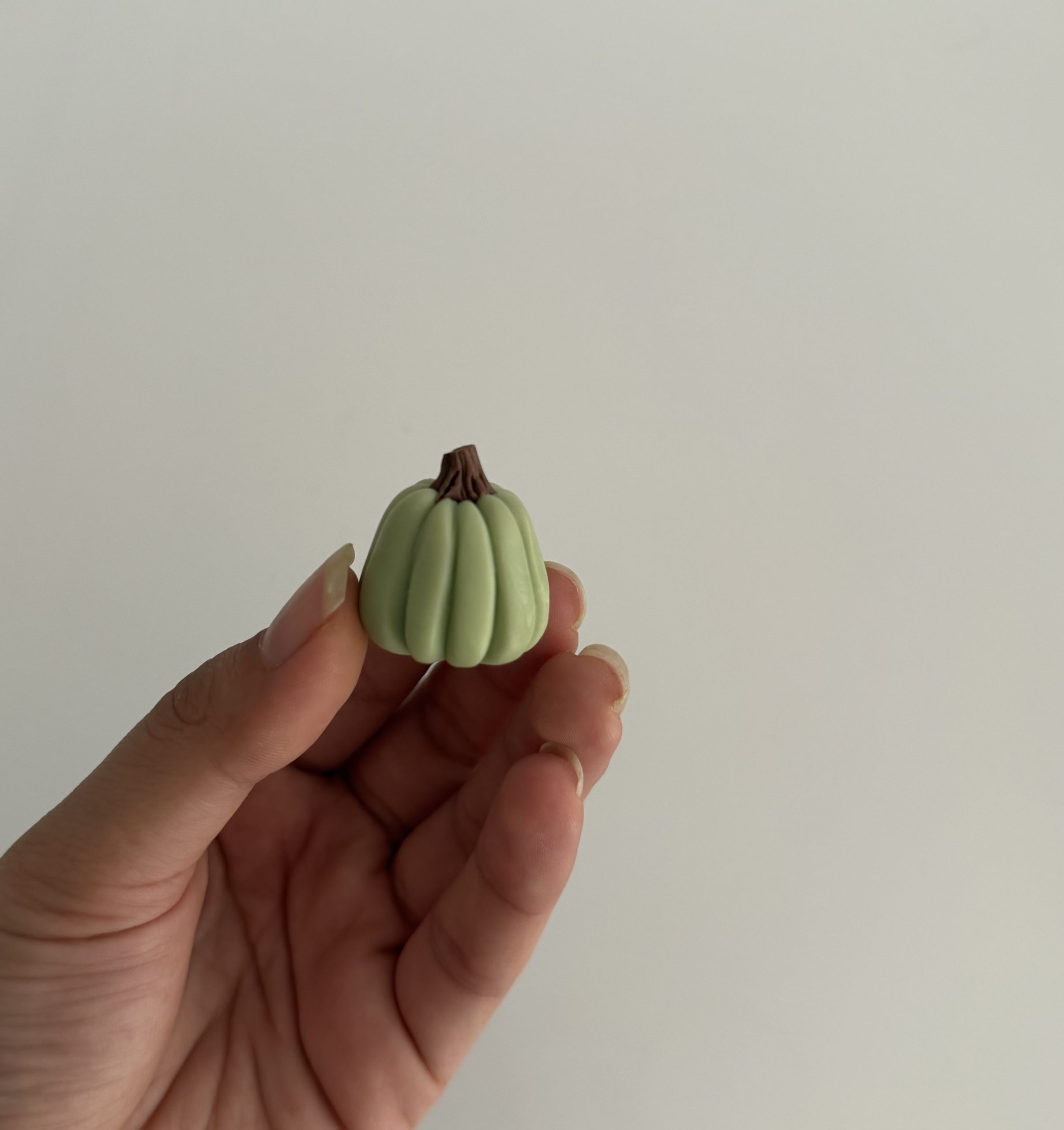 کدو مینیاتوری 3 عددی - تصویر 4