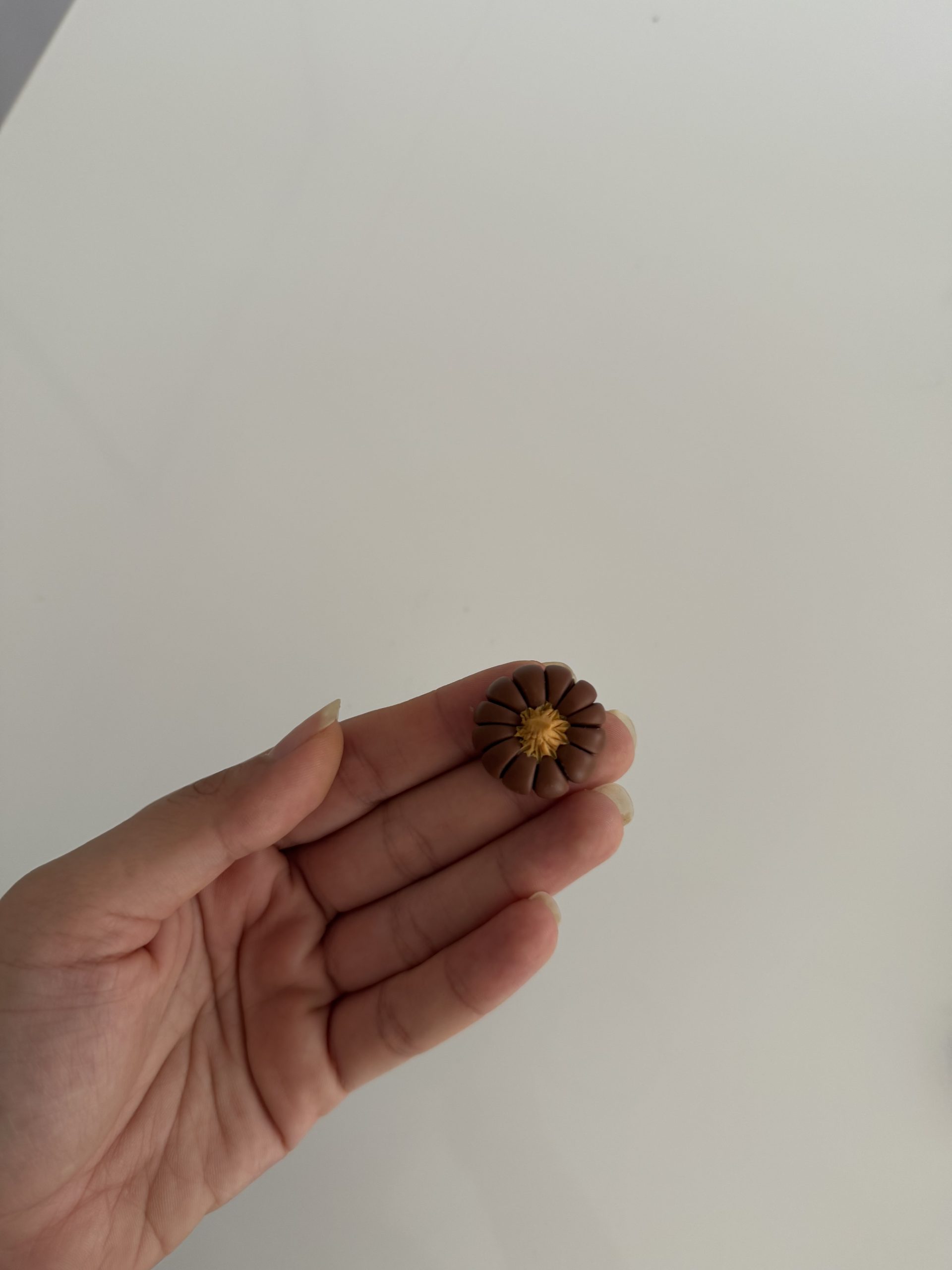 کدو مینیاتوری 3 عددی - تصویر 5