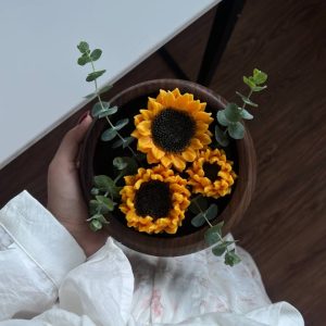 آفتاب گردان طبیعی