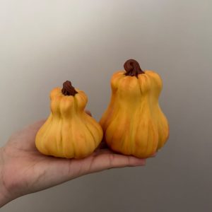 کدو ژولیده