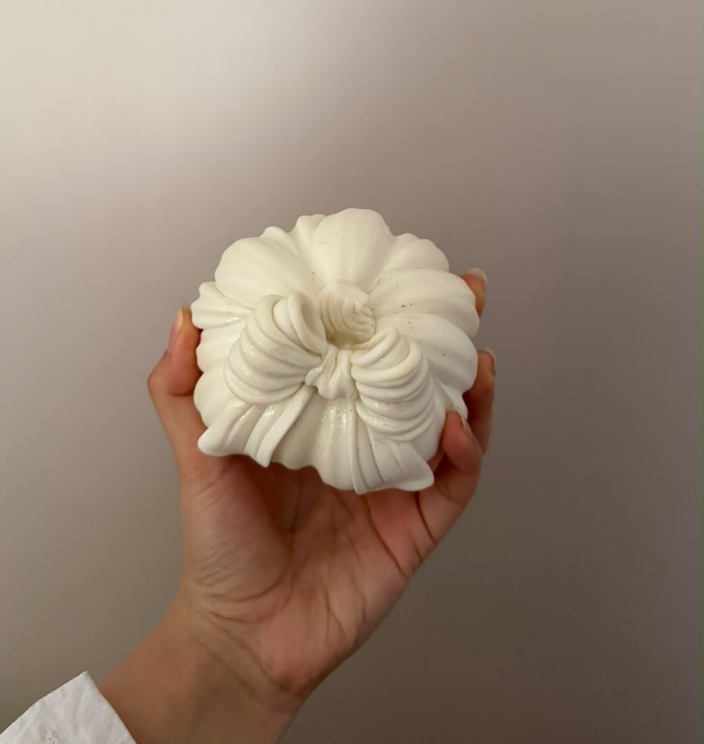 کدو پاپیونی تپل و کشیده در دو سایز - تصویر 4