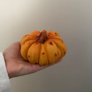کدو زخمی